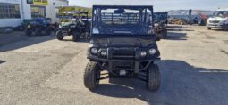 Kawasaki Mule DXT full
